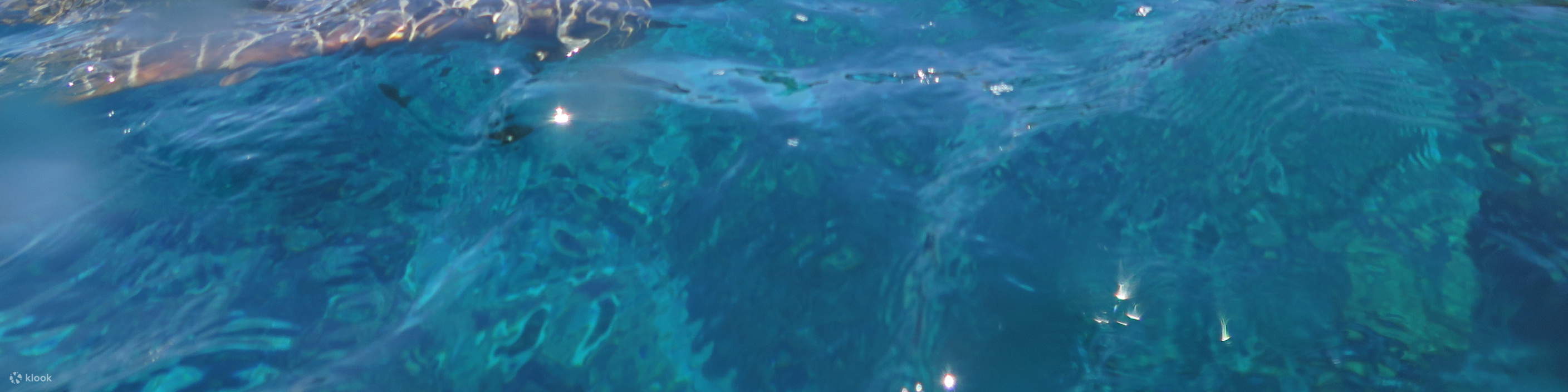 Xiao Liuqiu: Snorkeling Experience with Sea Turtles | One Free for Groups of Six